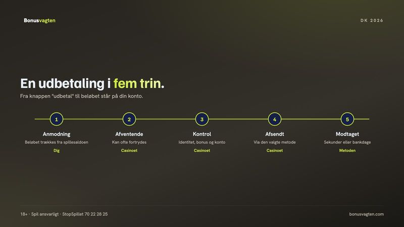 Udbetaling casino i fem trin: anmodning, afventende periode, kontrol, afsendelse og pengene på kontoen